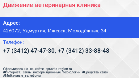 Движение ветеринарная клиника - визитка