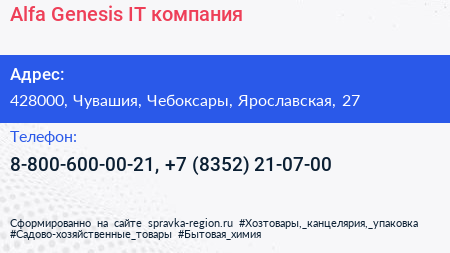 Alfa Genesis IT компания - визитка