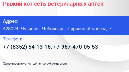 Рыжий кот сеть ветеринарных аптек - визитка