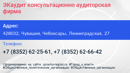 ЭКаудит консультационно аудиторская фирма - визитка