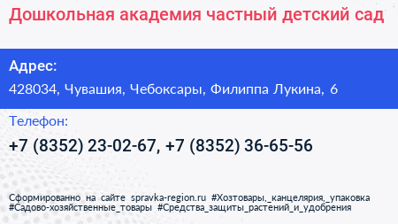 Дошкольная академия частный детский сад - визитка