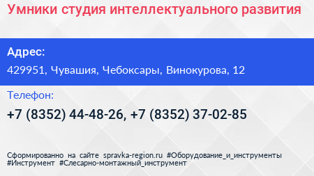 Умники студия интеллектуального развития - визитка
