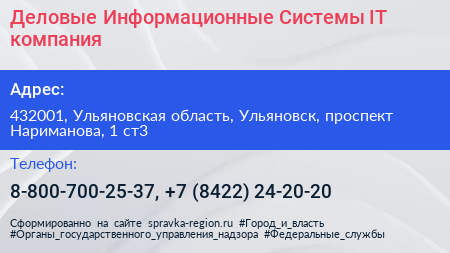 Деловые Информационные Системы IT компания - визитка