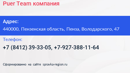 Puer Team компания - визитка