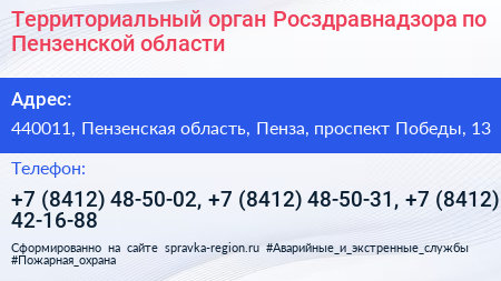 Территориальный орган Росздравнадзора по Пензенской области - визитка