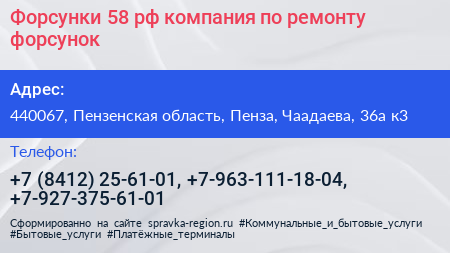 Форсунки 58 рф компания по ремонту форсунок - визитка