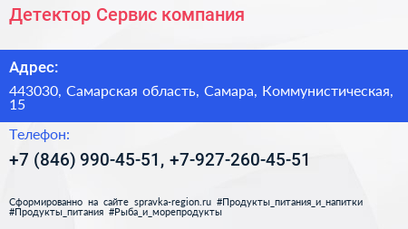 Детектор Сервис компания - визитка