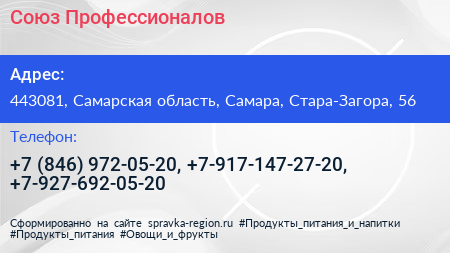 Союз Профессионалов - визитка