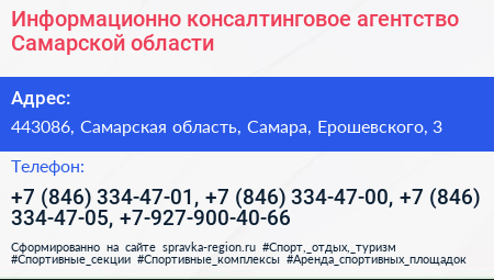 Информационно консалтинговое агентство Самарской области - визитка