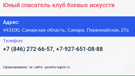 Юный спасатель клуб боевых искусств - визитка