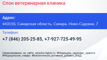 Слон ветеринарная клиника - визитка