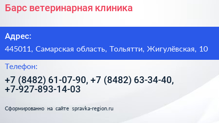 Барс ветеринарная клиника - визитка