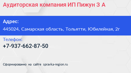 Аудиторская компания ИП Пижун З А  - визитка