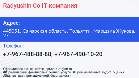 Radyushin Co IT компания - визитка