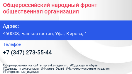 Общероссийский народный фронт общественная организация - визитка