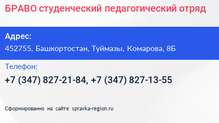 БРАВО студенческий педагогический отряд - визитка