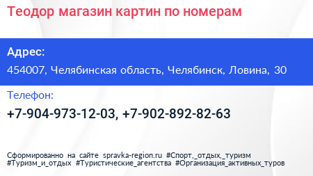Теодор магазин картин по номерам - визитка