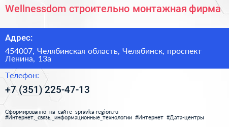 Wellnessdom строительно монтажная фирма - визитка