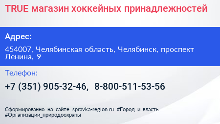 TRUE магазин хоккейных принадлежностей - визитка