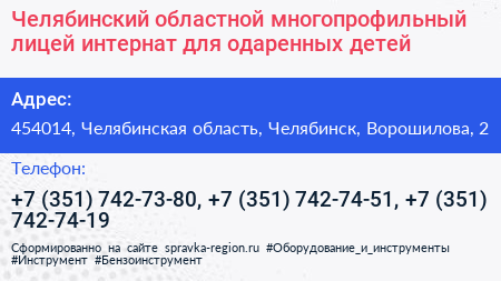 Челябинский областной многопрофильный лицей интернат для одаренных детей - визитка