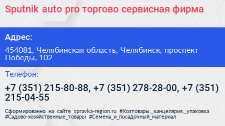 Sputnik auto pro торгово сервисная фирма - визитка
