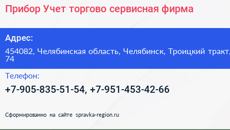 Прибор Учет торгово сервисная фирма - визитка