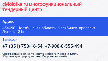 cMolotka ru многофункциональный тендерный центр - визитка