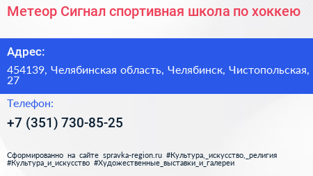 Метеор Сигнал спортивная школа по хоккею - визитка