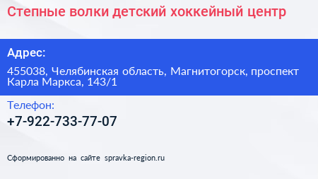 Степные волки детский хоккейный центр - визитка