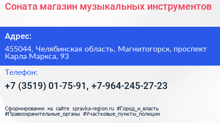 Соната магазин музыкальных инструментов - визитка