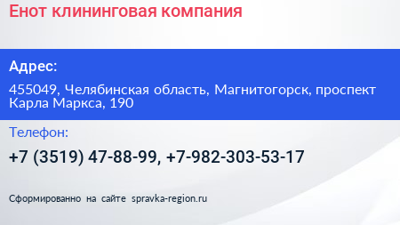 Енот клининговая компания - визитка