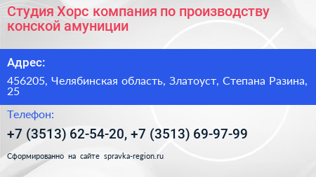 Студия Хорс компания по производству конской амуниции - визитка