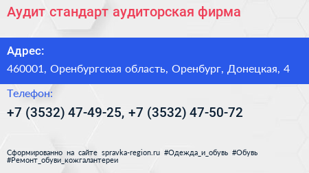 Аудит стандарт аудиторская фирма - визитка