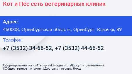 Кот и Пёс сеть ветеринарных клиник - визитка