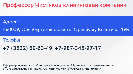 Профессор Чистяков клининговая компания - визитка