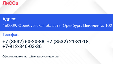 ЛиССа - визитка