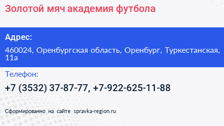 Золотой мяч академия футбола - визитка