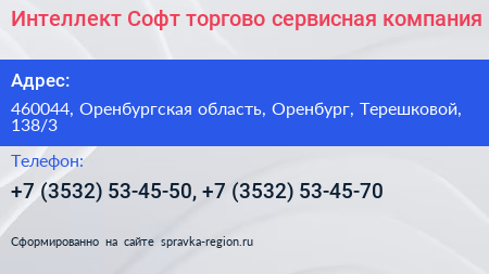 Интеллект Софт торгово сервисная компания - визитка