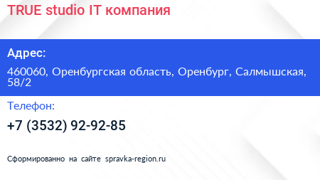 TRUE studio IT компания - визитка
