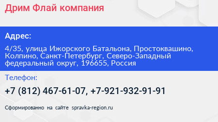 Дрим Флай компания - визитка