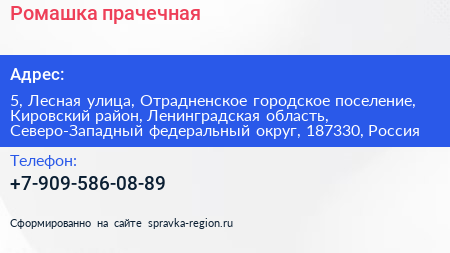 Ромашка прачечная - визитка