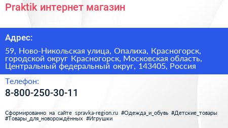 Praktik интернет магазин - визитка