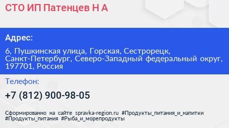 СТО ИП Патенцев Н А  - визитка