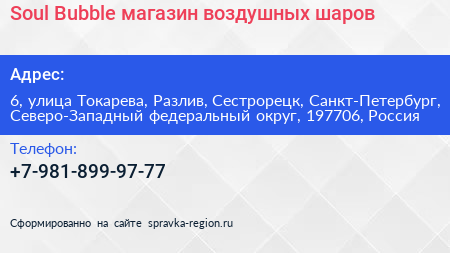 Soul Bubble магазин воздушных шаров - визитка