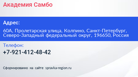 Академия Самбо - визитка