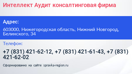 Интеллект Аудит консалтинговая фирма - визитка