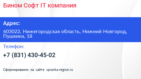 Бином Софт IT компания - визитка
