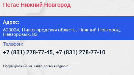 Пегас Нижний Новгород - визитка
