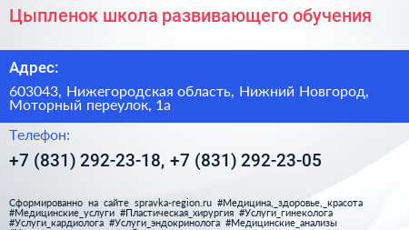 Цыпленок школа развивающего обучения - визитка