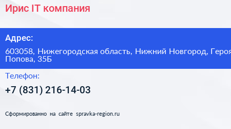 Ирис IT компания - визитка